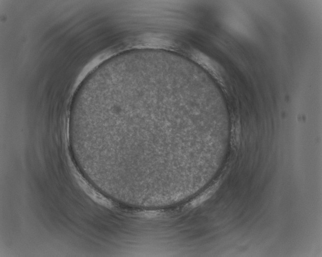 X0000081431130200702092153