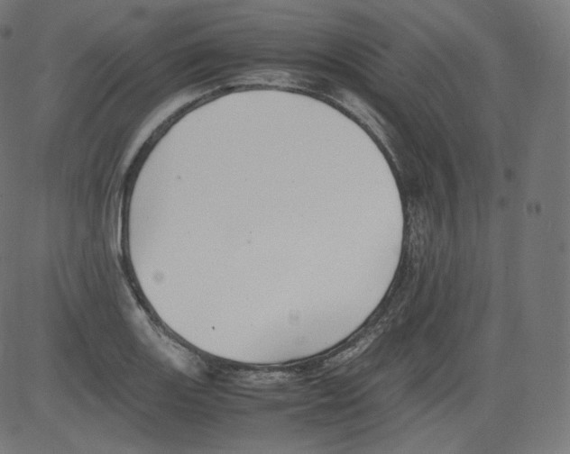 X0000081431131200702092153