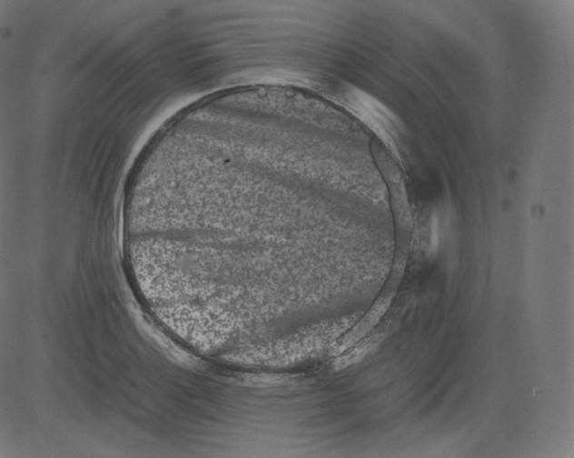 X0000081431132200702092153