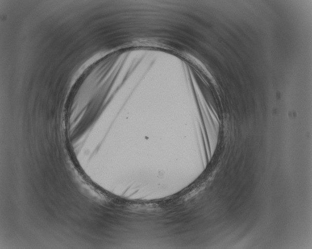 X0000081431133200702092153