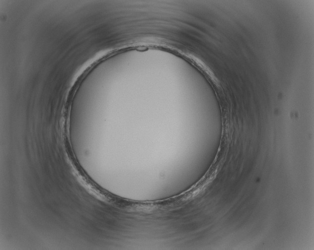 X0000081431134200702092153