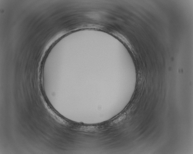 X0000081431135200702092153