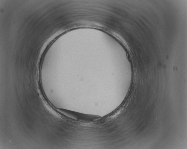 X0000081431136200702092153