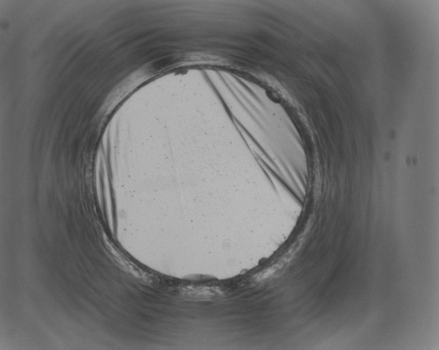 X0000081431137200702092153