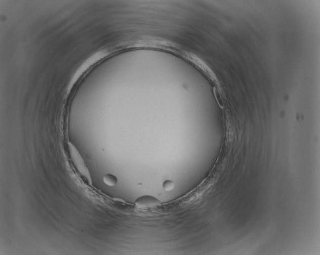 X0000081431138200702092153