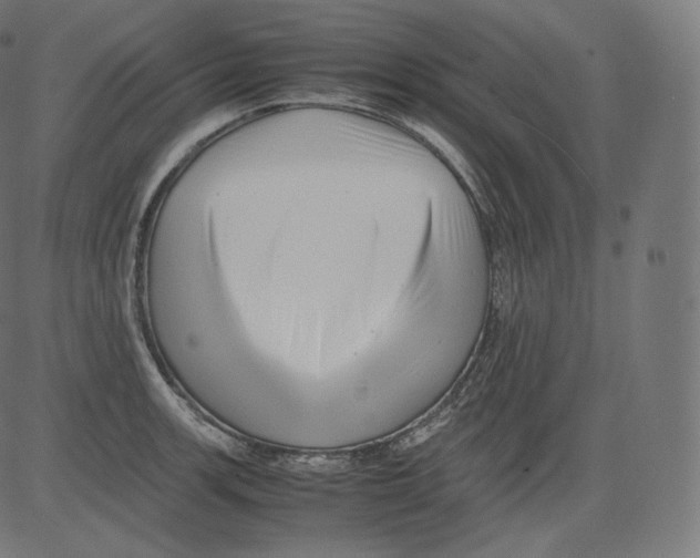 X0000081431139200702092153