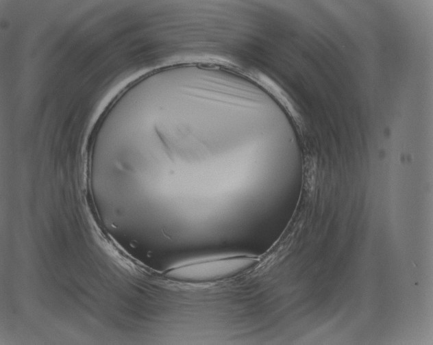 X0000081431140200702092153