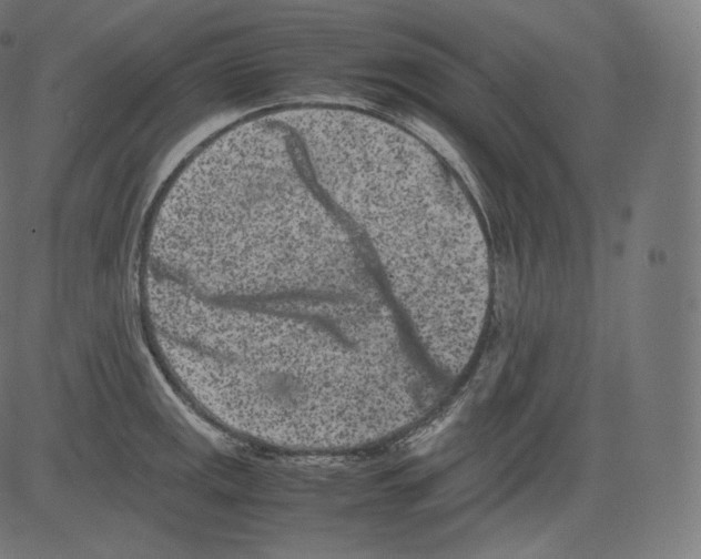 X0000081431141200702092153