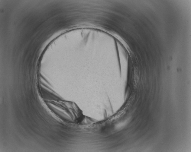 X0000081431142200702092153