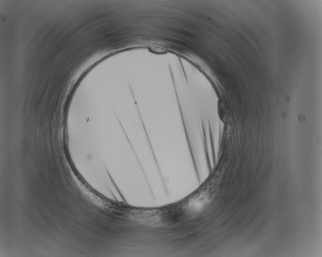 X0000081431143200702092153