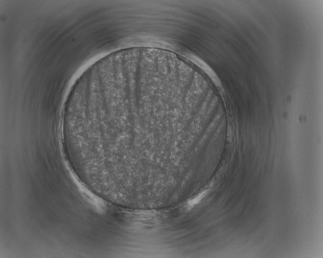 X0000081431144200702092153