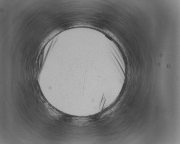 X0000081431145200702092153