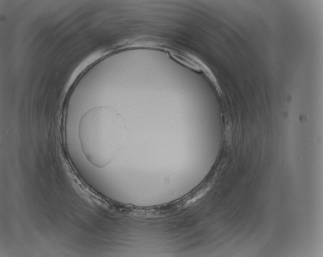 X0000081431146200702092153