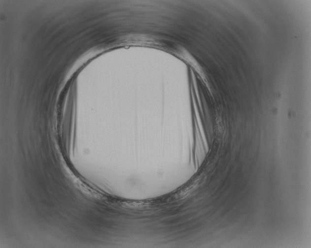 X0000081431147200702092153