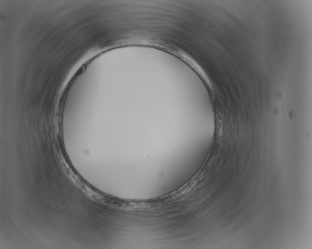 X0000081431148200702092153