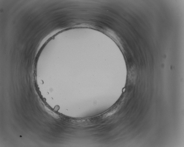 X0000081431149200702092153