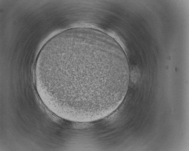 X0000081431150200702092153