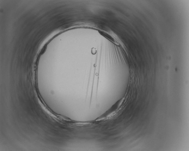 X0000081431151200702092153