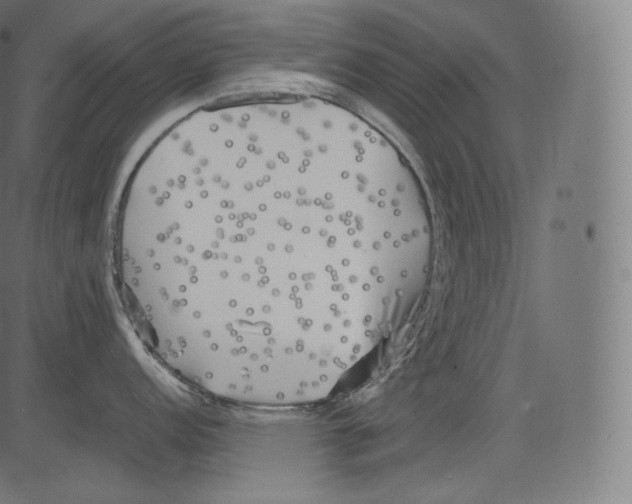 X0000081431152200702092153