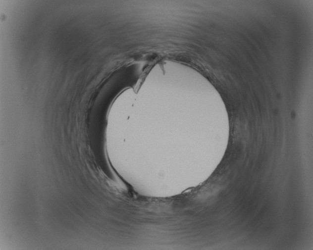 X0000081431153200702092152