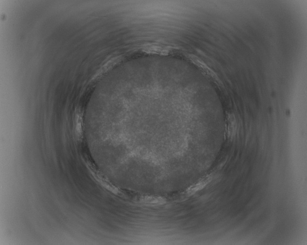 X0000081431154200702092152