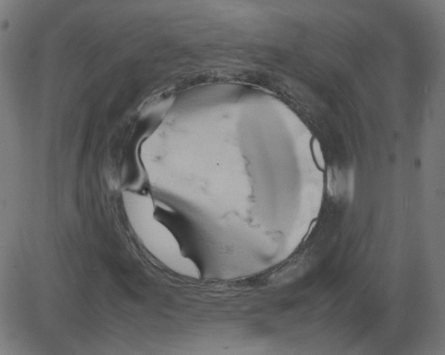 X0000081431155200702092152