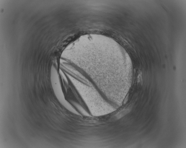 X0000081431156200702092152