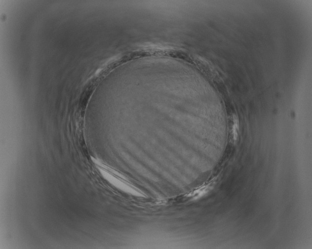 X0000081431157200702092152