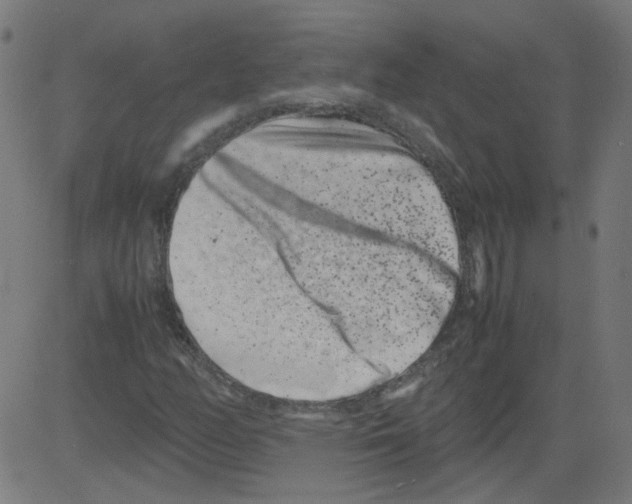 X0000081431158200702092152