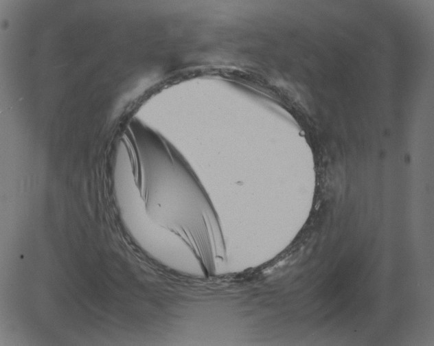 X0000081431159200702092152