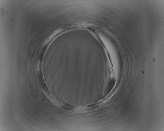 X0000081431161200702092152