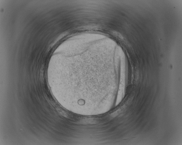 X0000081431162200702092152