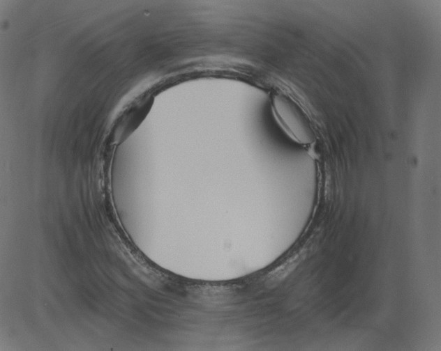 X0000081431164200702092152