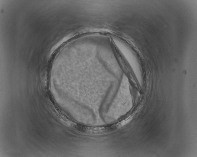 X0000081431165200702092152