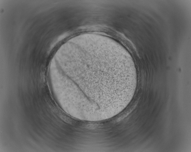 X0000081431166200702092152