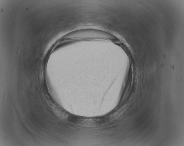 X0000081431167200702092152