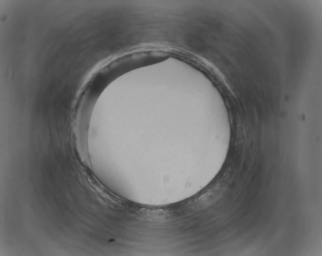 X0000081431168200702092152