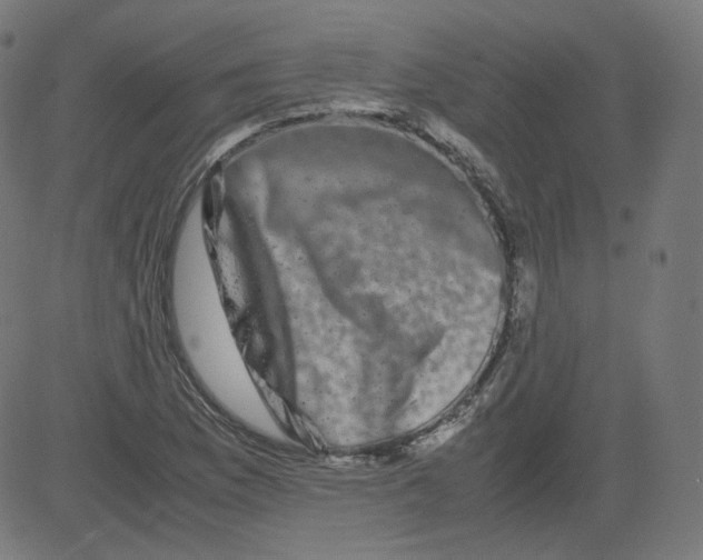 X0000081431169200702092152