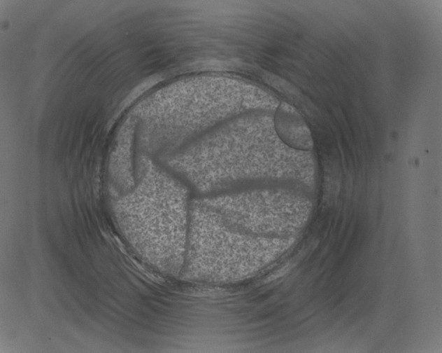 X0000081431170200702092152