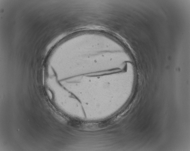 X0000081431171200702092152