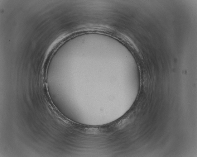 X0000081431172200702092152