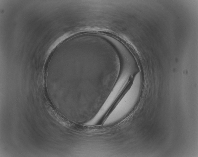 X0000081431173200702092152