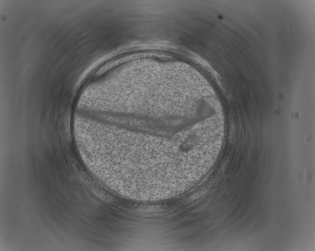 X0000081431174200702092152