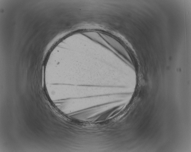 X0000081431175200702092152