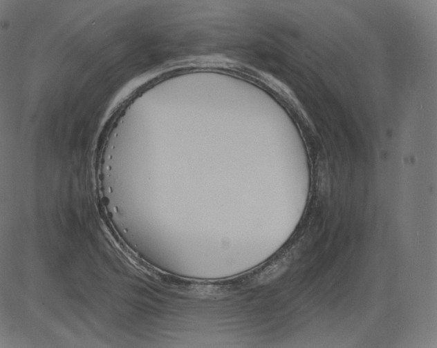 X0000081431176200702092152