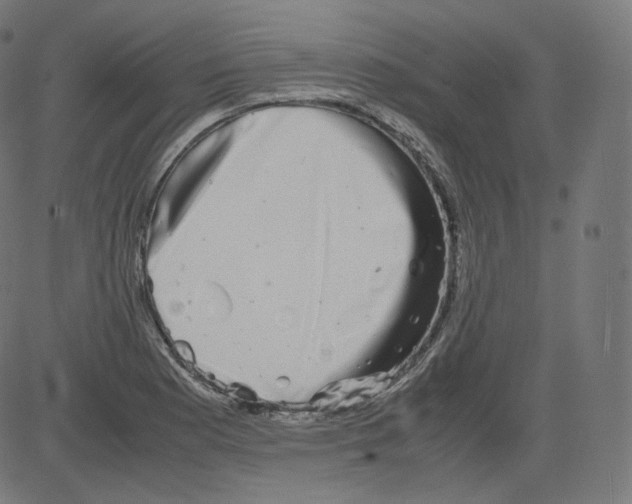 X0000081431177200702092152