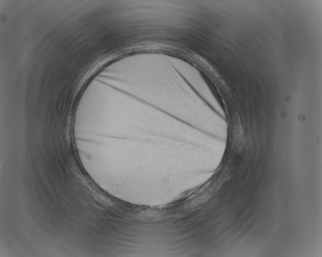 X0000081431178200702092152