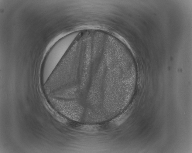 X0000081431179200702092152