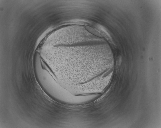 X0000081431180200702092152