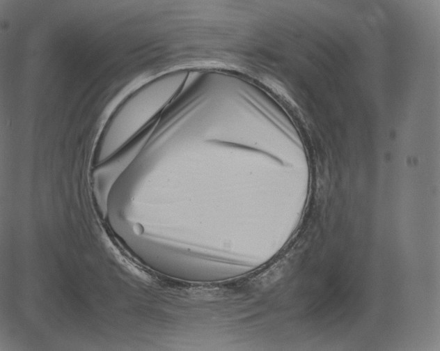 X0000081431181200702092152